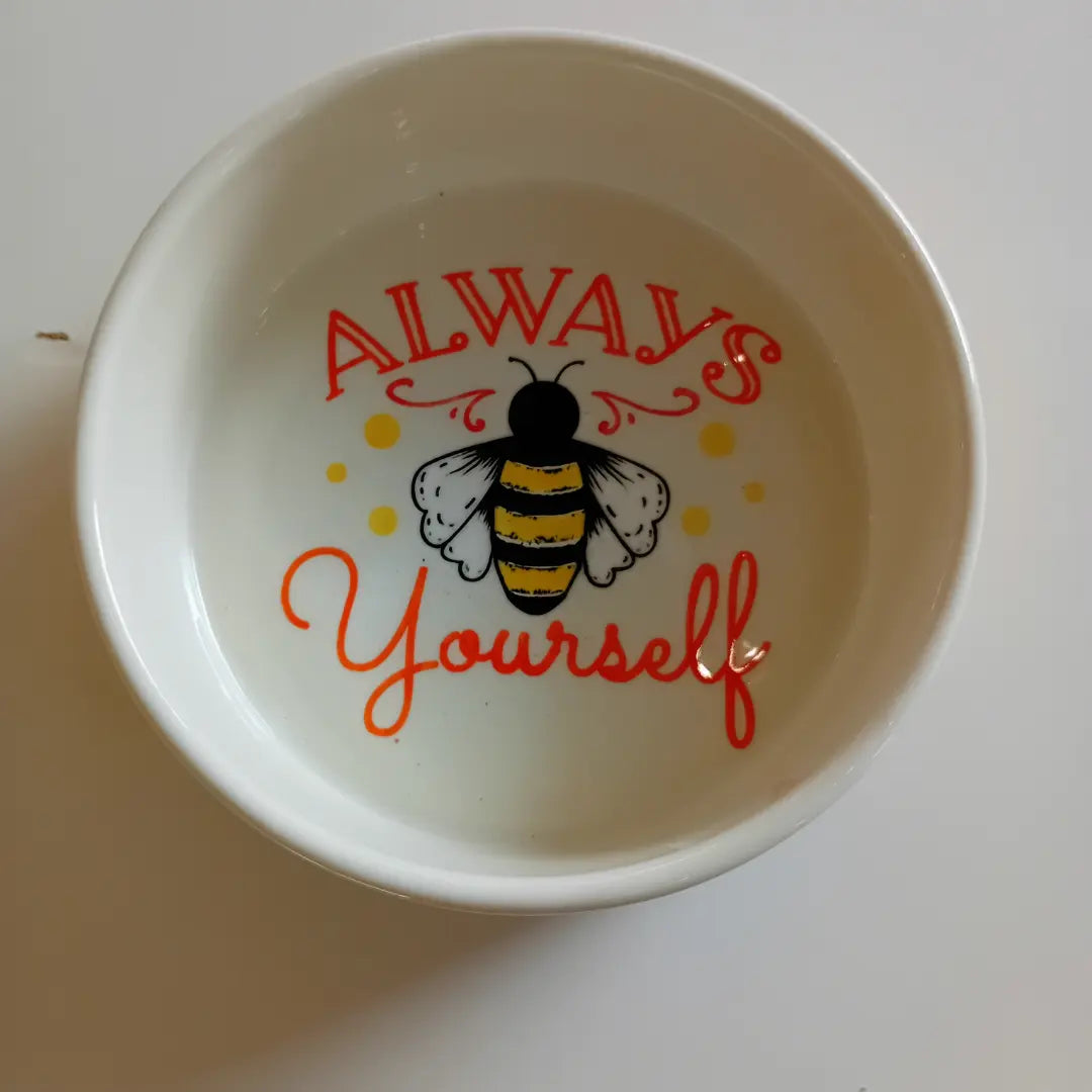 Last minute spots: Paint your pottery